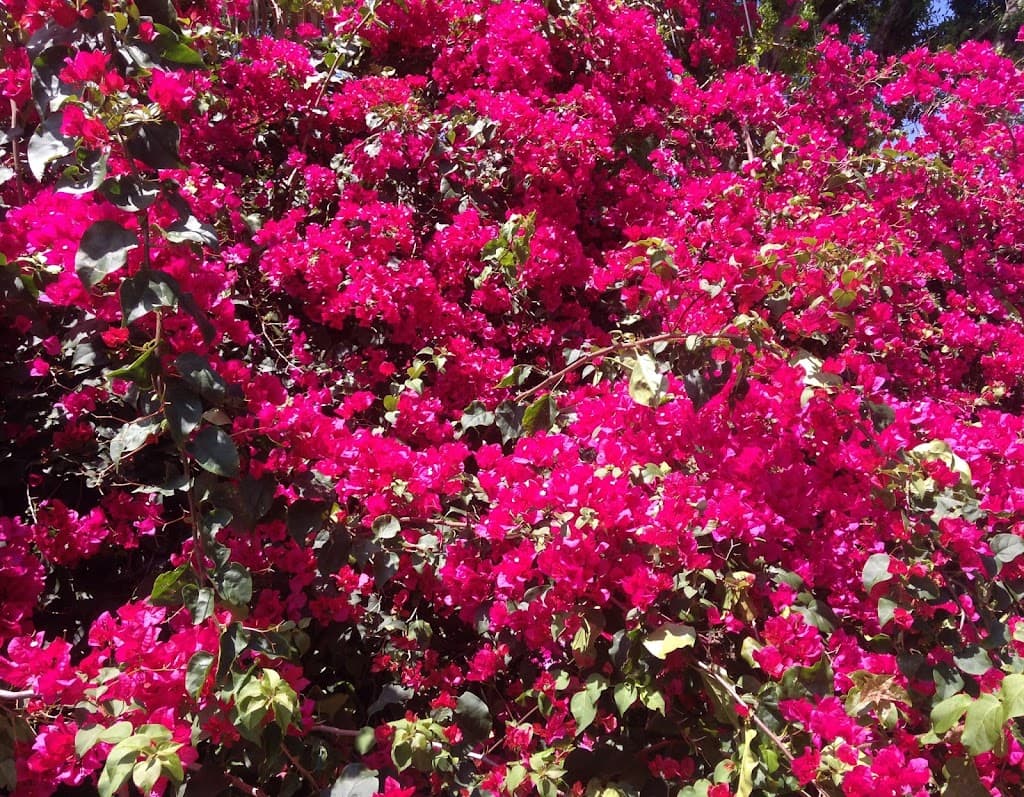 Albright Landscaping, Inc.